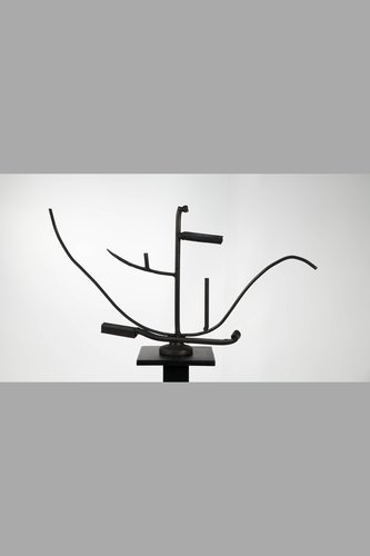 image of Nef de fous